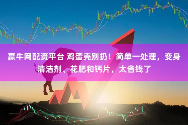 赢牛网配资平台 鸡蛋壳别扔！简单一处理，变身清洁剂、花肥和钙片，太省钱了